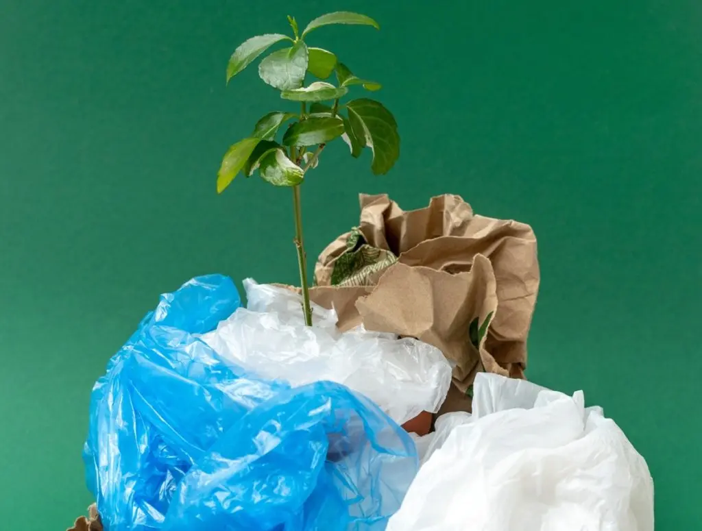 rifiuto biodegradabile