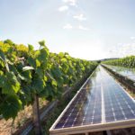 impianti fotovoltaici in zone agricole