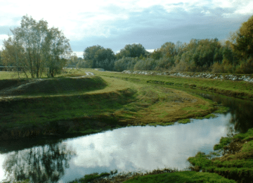 fiume_bosco_paesaggio